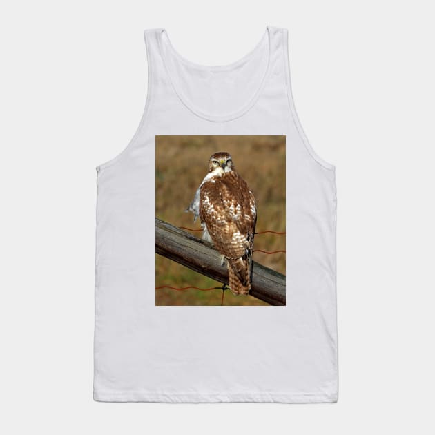 Red-tailed Hawk on fence Tank Top by Jim Cumming